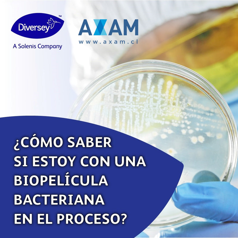 Desafíos en la Industria F&B: ¿Cómo Detectar Biopelículas Bacterianas en el Proceso?